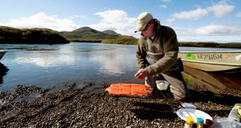 Alaska Salmon Fishing